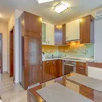 Villa Pool Silva Marija Dobova