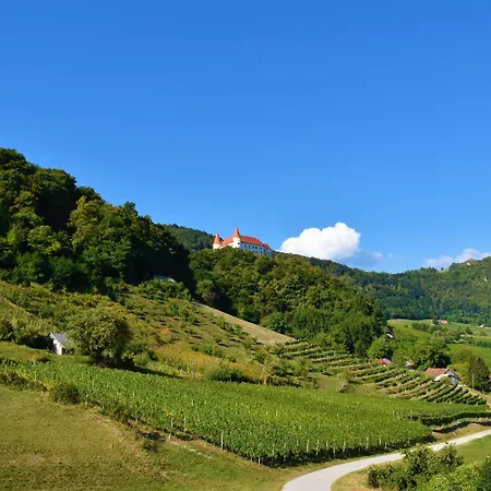 Villa Pool Silva Marija Dobova