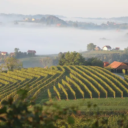 Pool Silva Marija Villa *