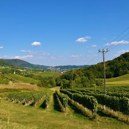 Pool Silva Marija Villa Dobova