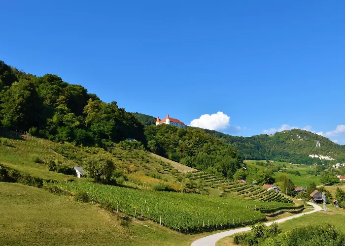 וילה Pool Silva Marija Dobova