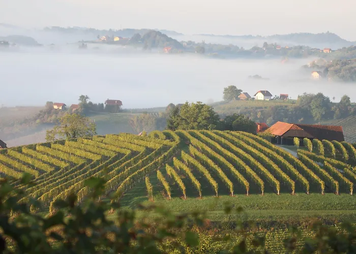 Pool Silva Marija וילה *