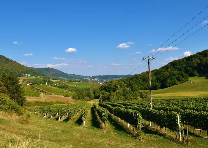 Pool Silva Marija Villa Dobova